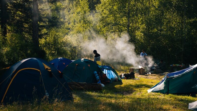 Oplev den perfekte campingplads i Ribe