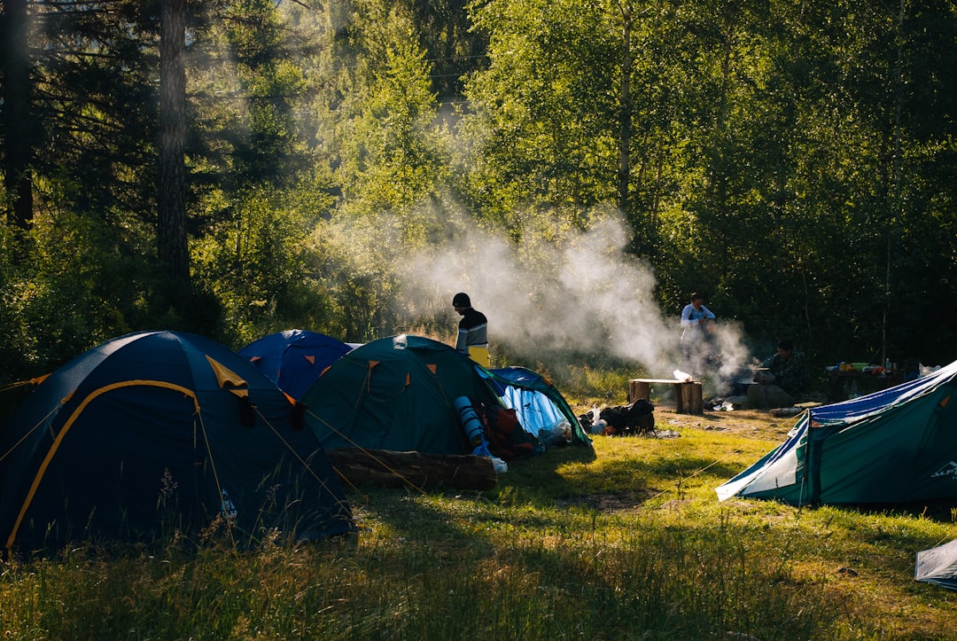 Oplev den perfekte campingplads i Ribe